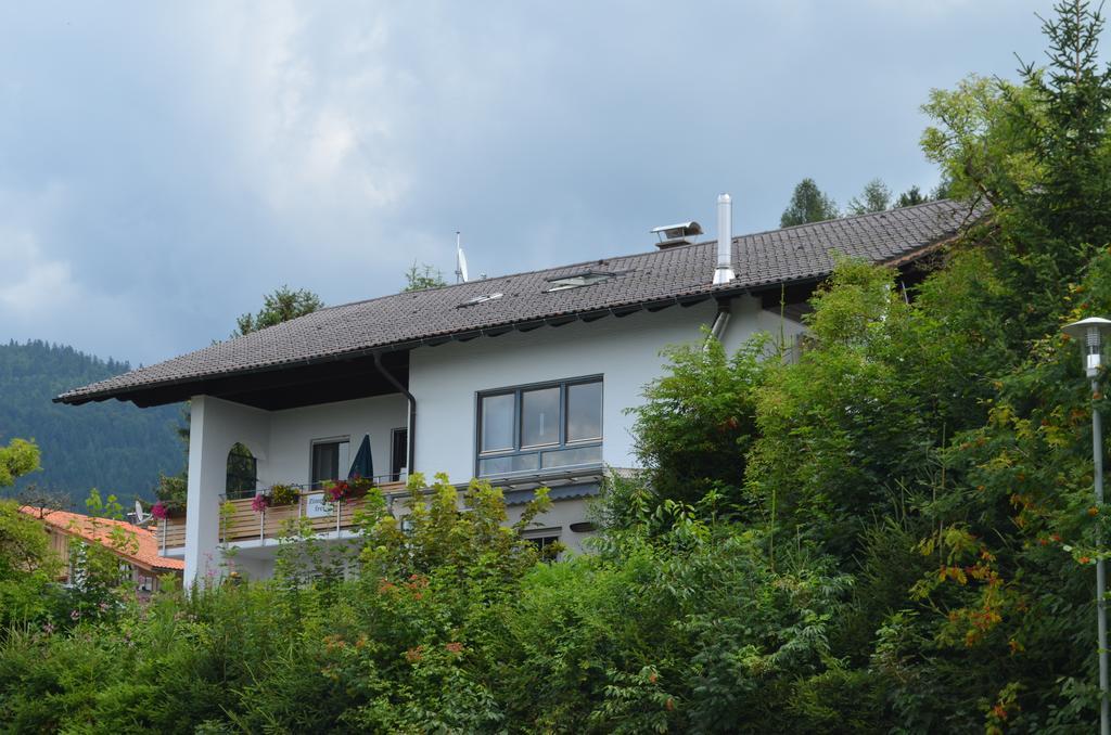 Gaestehaus Haller Hotel Bodenmais Exterior foto